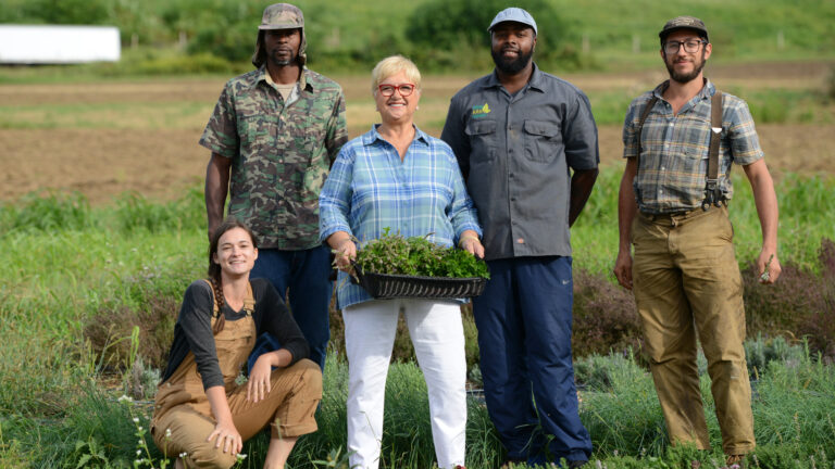 The Ironbound farm employees and Lidia in the field