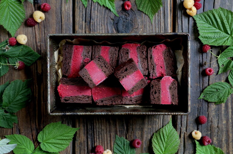 Vegan Raspberry Brownie Ice Cream Bars