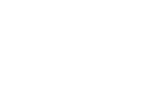 No Passport Required Logo
